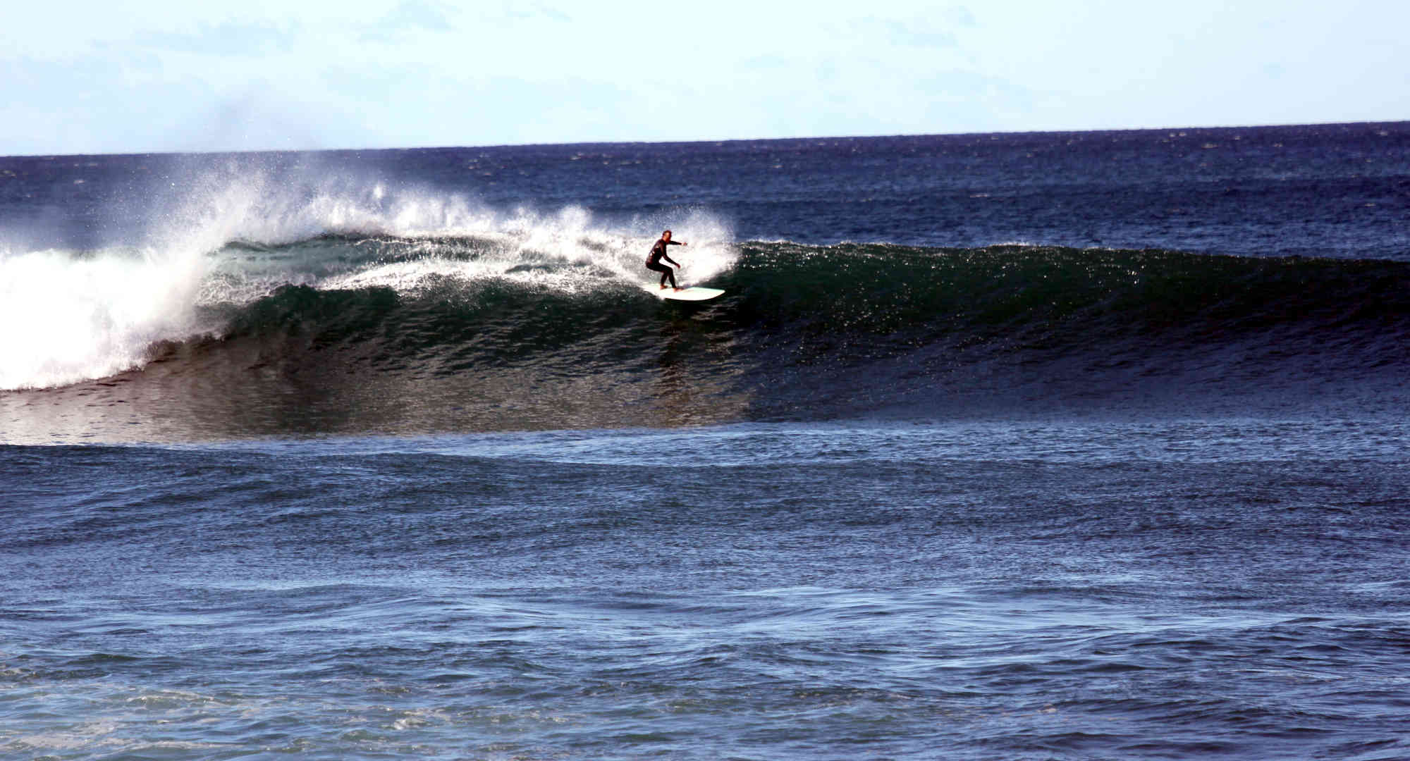 Greg Cogar Surfing